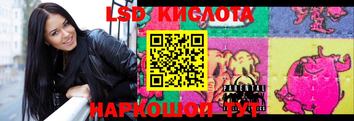 Сокол  LSD-25 экстази ecstasy  LSD-25 экстази кислота  Лсд 25 экстази  Вход с VPN 