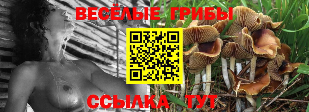 Галлюциногенные грибы мицелий Сокол